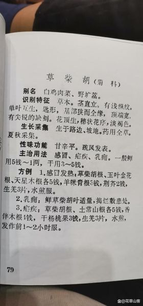 非物质文化遗产 草药医（非药草医入门指南：草药医是什么？）-第3张图片-八三百科
