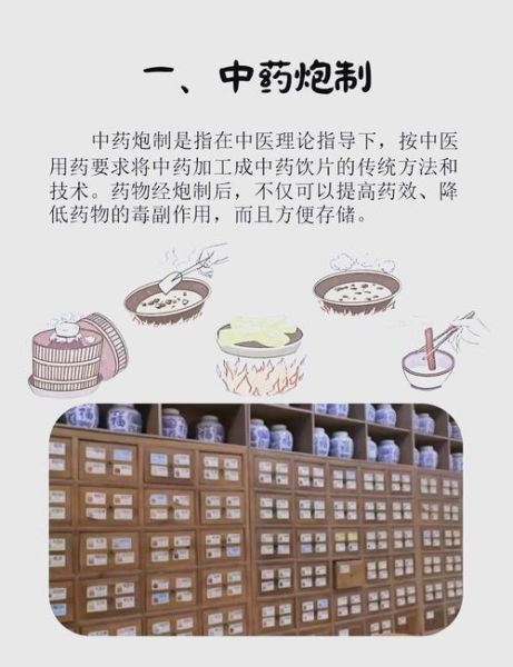 非物质文化遗产 草药医（非药草医入门指南：草药医是什么？）-第2张图片-八三百科