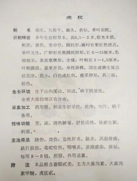 非物质文化遗产 草药医（非药草医入门指南：草药医是什么？）-第1张图片-八三百科