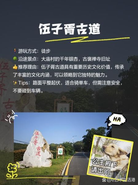 含山非物质文化遗产（含山非遗有哪些值得看的体验清单）-第2张图片-八三百科