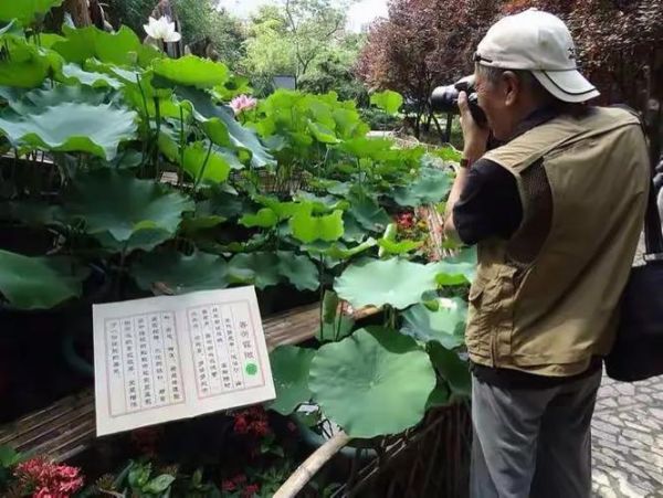 老樊非物质文化遗产（老樊非物质文化遗产传承人能赚钱吗）-第2张图片-八三百科