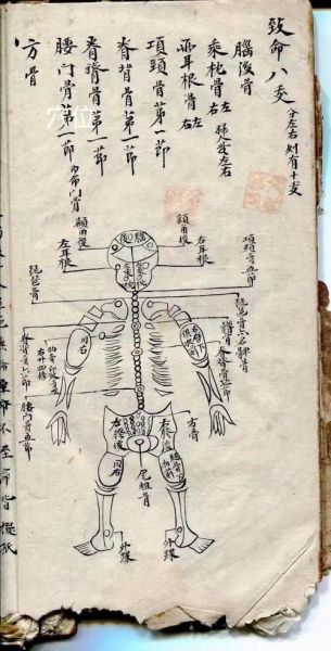 非物质文化遗产点穴（国家级非遗点穴疗法如何自学入门）-第1张图片-八三百科