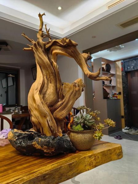 非物质文化遗产根雕大师（根雕大师如何选择优质树根）-第3张图片-八三百科