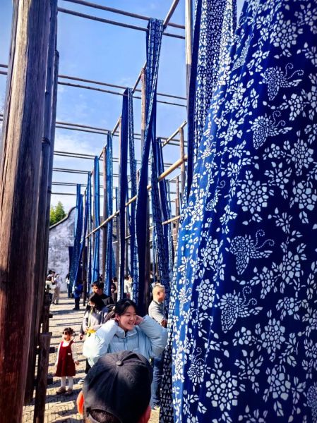 乌镇 非物质文化遗产（乌镇非遗有哪些值得体验）-第2张图片-八三百科