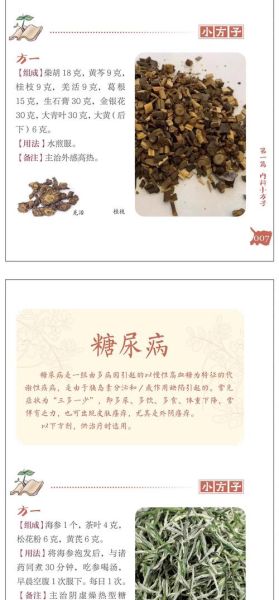 非物质文化遗产中药方子（中药申遗的保密方子有哪些）-第2张图片-八三百科