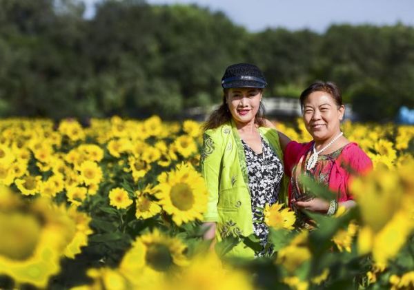 非物质文化遗产 兰静（非遗传承人兰静是谁）-第3张图片-八三百科