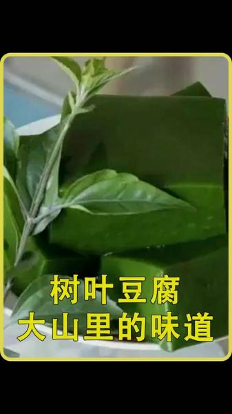 叶子非物质文化遗产（叶子非物质文化遗产在哪里）-第3张图片-八三百科