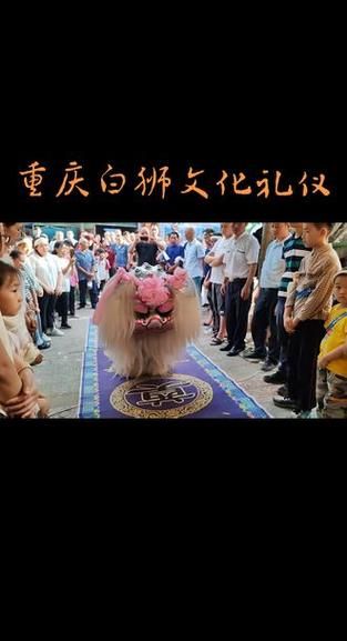 丧事非物质文化遗产（丧事非物质文化遗产有哪些）-第2张图片-八三百科