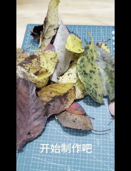 秋叶非物质文化遗产（秋叶非遗制作入门教程）-第2张图片-八三百科