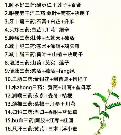 非物质文化遗产秘方（非物质文化遗产秘方查询方法是什么）-第2张图片-八三百科