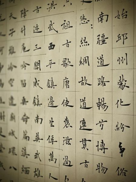 非物质文化遗产书法展览（零基础看非遗书法展览入门指南）-第2张图片-八三百科