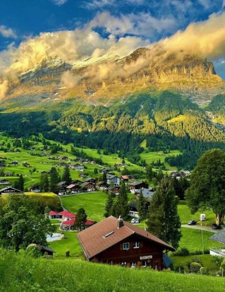 瑞士的非物质文化遗产是（瑞士非物质文化遗产有哪些）-第2张图片-八三百科