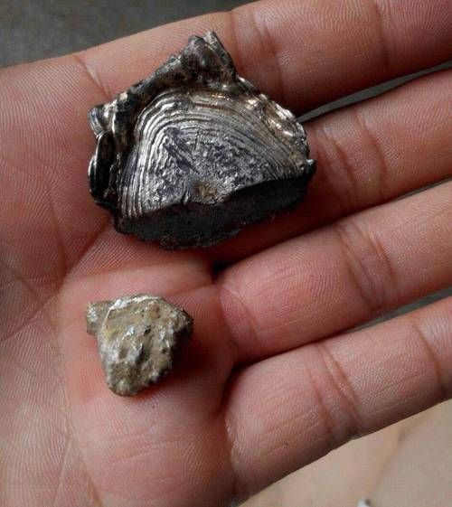 非物质文化遗产白银（白银非遗有哪些值得零基础收藏）-第2张图片-八三百科