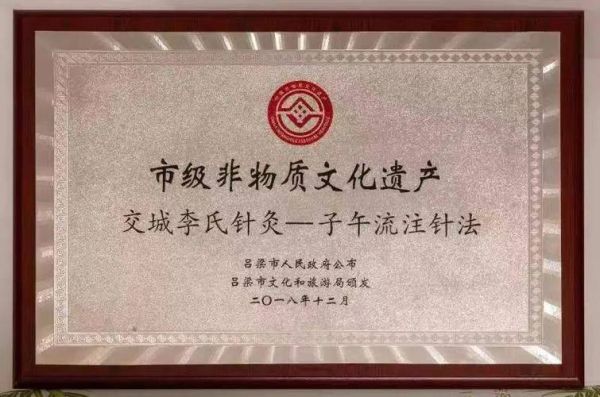 李氏针灸非物质文化遗产（李氏针灸非物质文化遗产怎么学）-第1张图片-八三百科