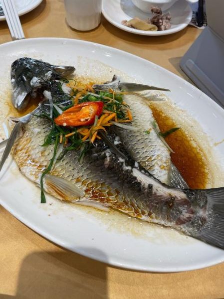 达州非物质文化遗产蒸鱼（达州蒸鱼非遗做法怎么做）-第1张图片-八三百科