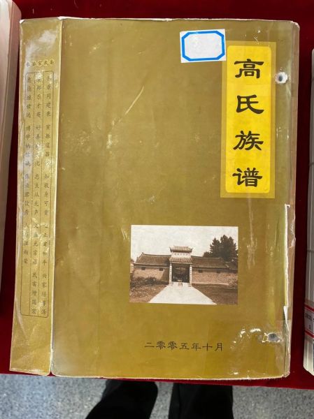 非物质文化遗产高氏中医（高氏中医非遗特色疗法可靠吗）-第2张图片-八三百科