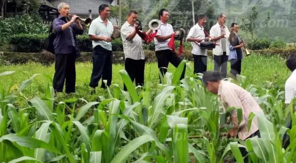 青川的非物质文化遗产（青川川北薅草锣鼓完整版哪里看）-第3张图片-八三百科