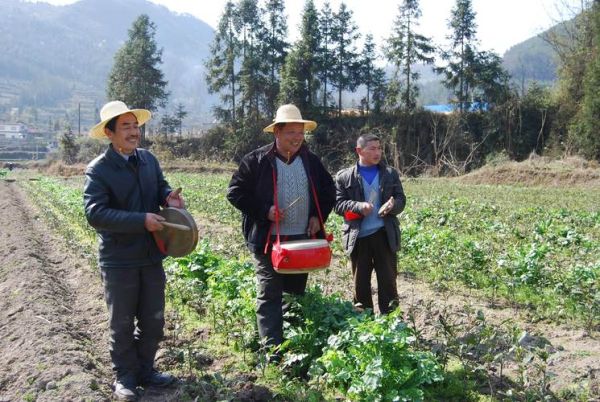 青川的非物质文化遗产（青川川北薅草锣鼓完整版哪里看）-第1张图片-八三百科