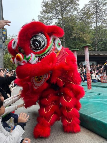 佛山非物质文化遗产狮舞（佛山非遗狮舞入门新手该如何观赏）-第2张图片-八三百科