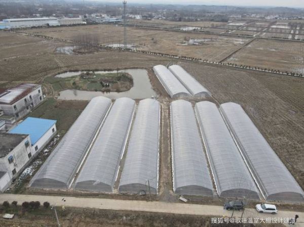 苏州非物质文化遗产大棚（苏州非遗大棚有哪些值得一看？）-第2张图片-八三百科