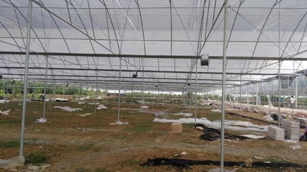 苏州非物质文化遗产大棚（苏州非遗大棚有哪些值得一看？）-第1张图片-八三百科