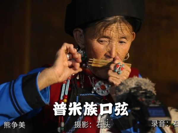 非物质文化遗产普米族（普米族非物质文化遗产有哪些）-第3张图片-八三百科