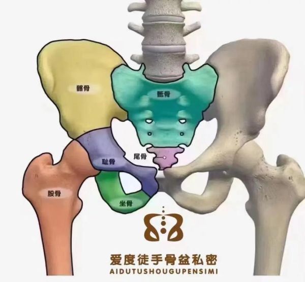 骨盆非物质文化遗产（骨盆非遗技艺有哪些常见类别）-第2张图片-八三百科