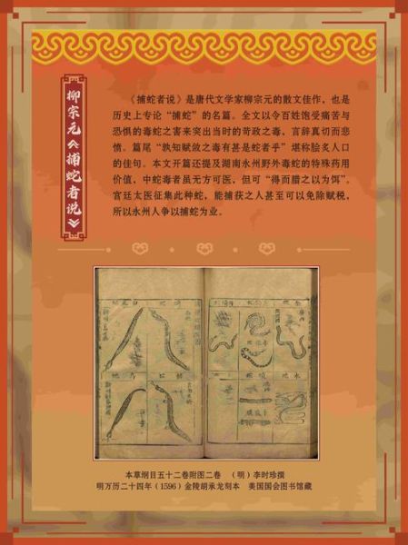 非物质文化遗产书法展出（2025非遗书法展在哪看？时间与预约全攻略）-第1张图片-八三百科