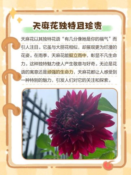 天须花花非物质文化遗产（天须花花非遗怎么学？0基础入门教程）-第1张图片-八三百科