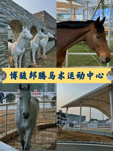 马术 非物质文化遗产（马术非遗项目有哪些适合入门）-第3张图片-八三百科