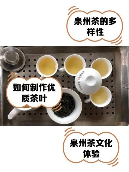 泉州非物质文化遗产茶（泉州非遗茶有哪些值得新手入门？）-第1张图片-八三百科
