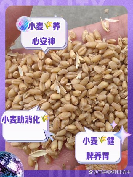 小麦算非物质文化遗产（小麦是国家级非遗吗）-第3张图片-八三百科