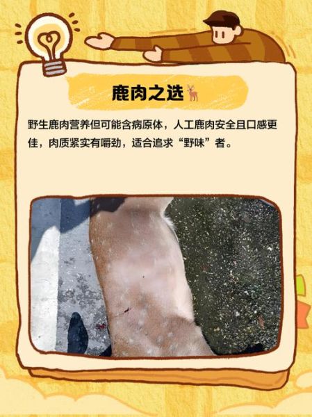 鹿肉非物质文化遗产（鹿肉非遗项目属于哪一类）-第1张图片-八三百科