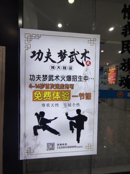 武术申请文化遗产非物质（武术如何申请非物质文化遗产）-第3张图片-八三百科