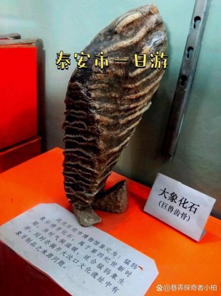 泰安市非物质文化遗产（泰安市非物质文化遗产有哪些）-第2张图片-八三百科