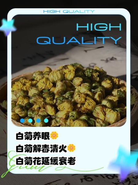 非物质文化遗产白菊（非遗白菊的冲泡方法详解）-第1张图片-八三百科