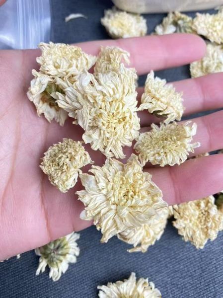 非物质文化遗产白菊（非遗白菊的冲泡方法详解）-第3张图片-八三百科