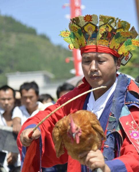 定鸡术非物质文化遗产（定鸡术是非遗骗局吗）-第1张图片-八三百科