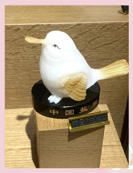 盐非物质文化遗产（盐制作技艺国家级非遗有哪些项目）-第1张图片-八三百科