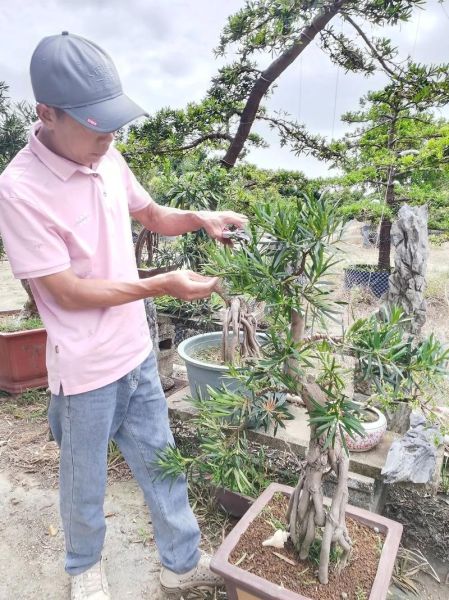 非物质文化遗产罗松（罗松非遗技艺入门新手快速上手）-第1张图片-八三百科