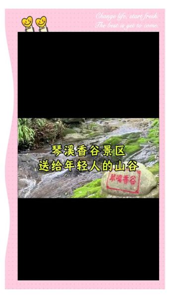 琴溪非物质文化遗产介绍（琴溪非遗介绍及旅行体验攻略）-第1张图片-八三百科