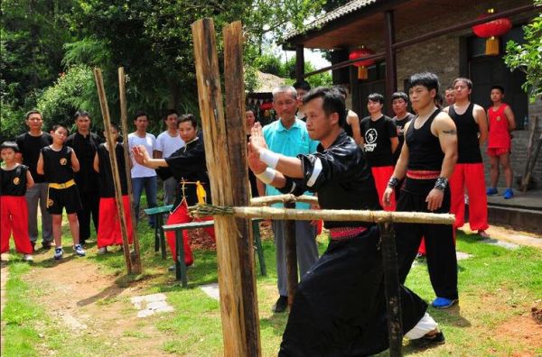 非物质文化遗产武术（非物质文化遗产武术有哪些门类）-第2张图片-八三百科