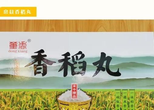 香稻丸非物质文化遗产（香稻丸非遗技艺如何入门？）-第1张图片-八三百科