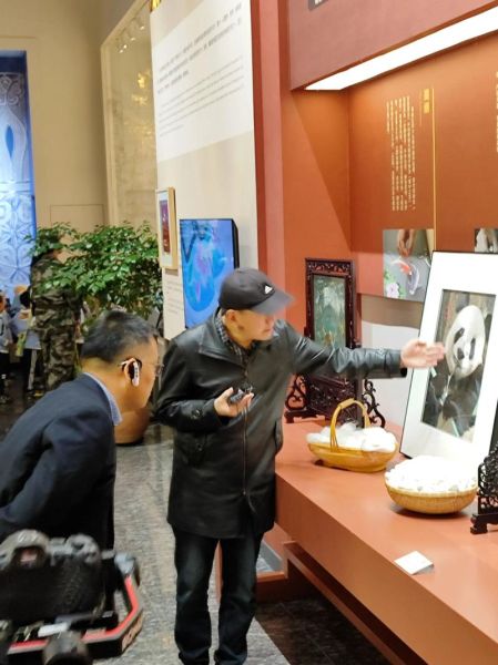 四川非遗物质文化遗产网(四川非遗名录查询入口在哪)-第3张图片-八三百科 四川非遗物质文化遗产网(四川非遗名录查询入口在哪)-第3张图片-八三百科