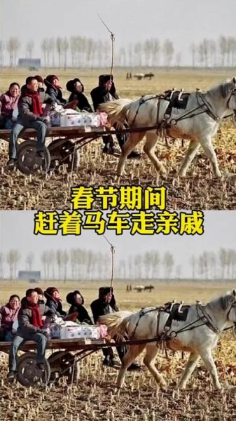 非物质文化遗产赶车（非遗赶车是什么：入门小白一看懂）-第1张图片-八三百科