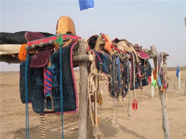 马鬃非物质文化遗产-第3张图片-八三百科