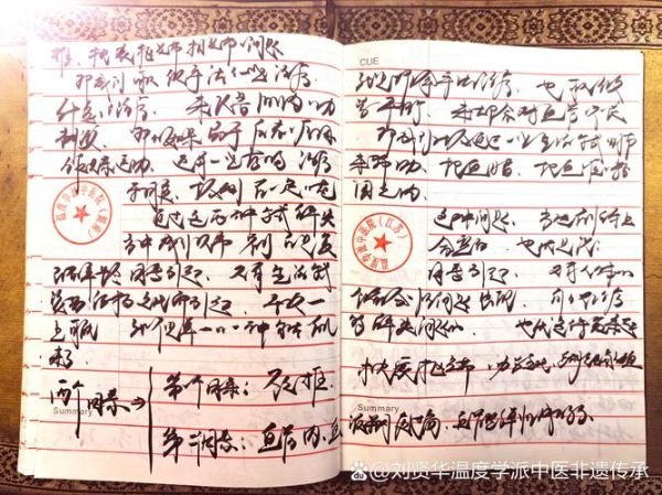 药方非物质文化遗产（非遗中药秘方怎么申请）-第3张图片-八三百科