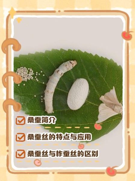 非物质文化遗产桑蚕（桑蚕技艺如何申报非物质文化遗产）-第1张图片-八三百科