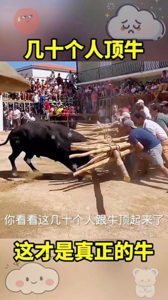 非物质文化遗产顶牛（非遗顶牛怎么做？小白30分钟就能看懂）-第2张图片-八三百科