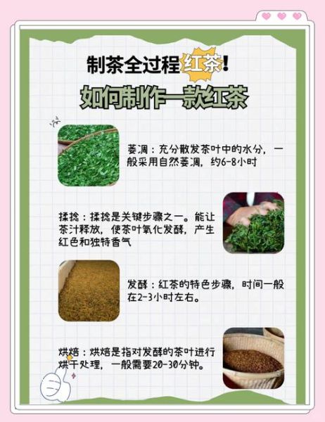 红茶非物质文化遗产（红茶制作技艺非遗传承流程）-第2张图片-八三百科